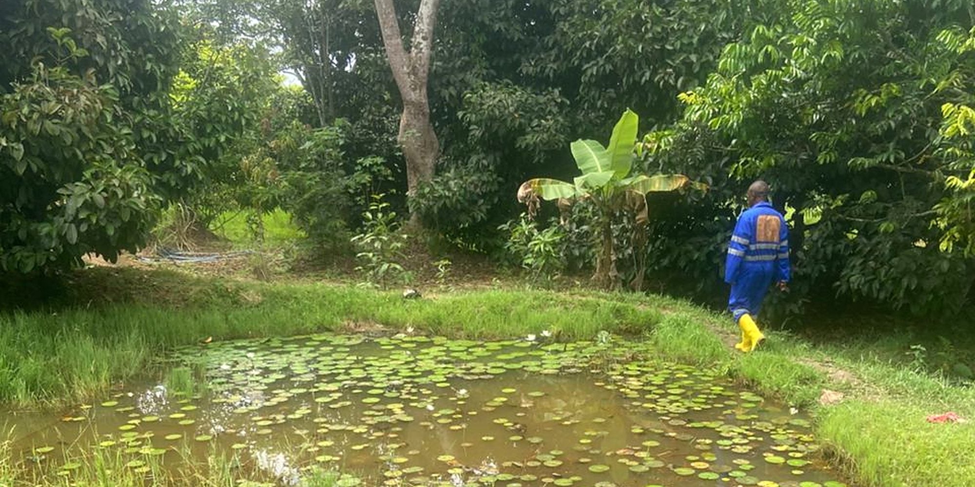 A beekeeper at the water’s edge, Kongo Central